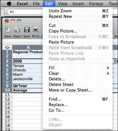 Copy Picture in Excel 2008