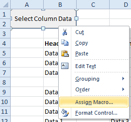 Assign Macro to Form Control