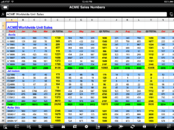 DocsToGo Premium Spreadsheet on iPad
