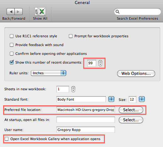 Excel General Preferences