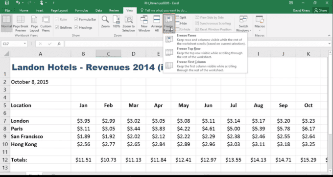 Image that shows how to freeze cells in Excel.