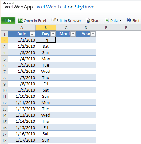 Excel Web Document View